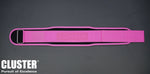 Cluster Nylon Lifting Belt